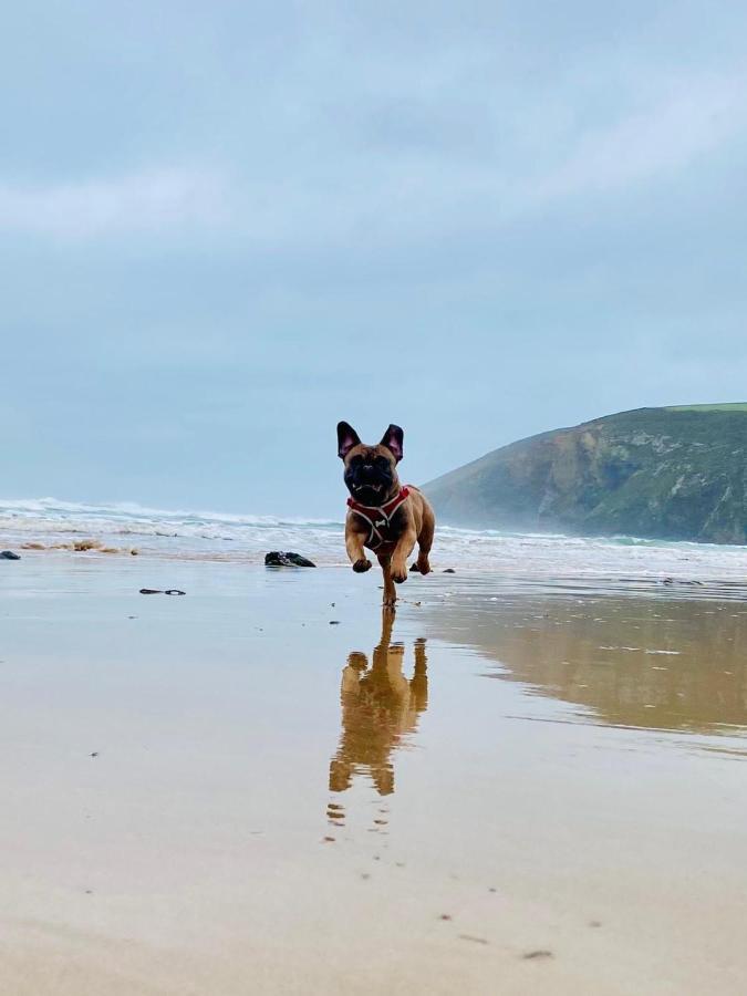 Daphne'S Lodge Mawgan Porth Eksteriør bilde
